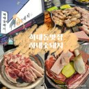 희망마트 하대점 | 진주 하대동 맛집 하대숯돼지 숯불구이 솔직 후기 | 뒷고기 통삼겹 냉목살 맛집