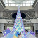 내면탐구 | 국립과천과학관 과학마블탐구여행 창작공방 푸드코트 놀이터 주말 후기