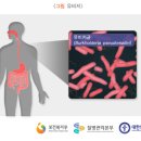 H0901 이미지