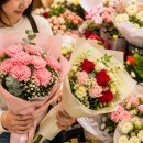 공판장유통 | 서울 꽃 시장 4곳 비교, 양재·남대문·고터·청계천 완전 정리