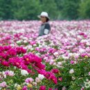 황강생태공원2 이미지