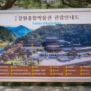 사립강원종합박물관 이미지