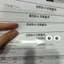 지앤유 | 임신기록[~12주차] 초기증상, 산전검사, 기형아검사