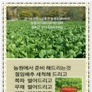 은하네농장 이미지