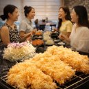 연와종 | 세종 나성동 치킨가스 맛집 연와종 후기｜전현무계획3 촬영지