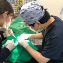 연세현치과의원 이미지