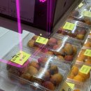 금호슈퍼 | 제주 가족여행 숙소 추천 제주금호리조트 프리미어 스위트 숙박 후기