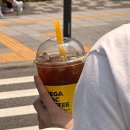 비샐럽 이미지
