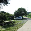 천세농원