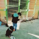 방장목장 이미지