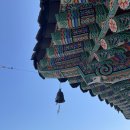 여수강남마트
