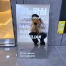 우노메디칼 이미지