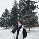 블루＆화이트 이미지