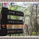 정상 정자 이미지