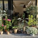 일월상회 이미지