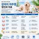 K&S치과기공소 | 성남·용인 강아지 스케일링·치주염 치료 후기｜필요한 치아만 발치한 치과 치료, 치아흡수성병변 케이스