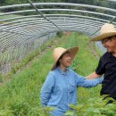 김영구농장 이미지