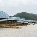 진악산오토캠핑장 이미지