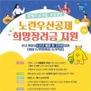 노란우산 이미지