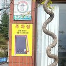 세븐일레븐 안동용상 원룸점 | [안동] 용상동 맛집 니가아는식당 내돈내산 현지인 추천