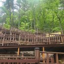 태조산공원 보훈공원 이미지