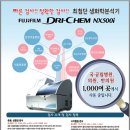 양곡동물병원 네이버블로그
