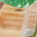 별 하우스 이미지