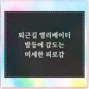 닥터황스마트마취통증의학과의원 | 퇴근길 엘리베이터, 발등에 감도는 미세한 피로감