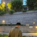 김밥산책 이미지