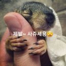 퍼니비