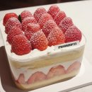 부모와 함께하는 프라모델 만들기(피카추) | 🏨12月 - 보법이 다르고 싶었던 씹뜨헉 오타쿠 소녀들의 호캉스: 코트야드 메리어트 타임스퀘어 스위트룸...