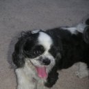 기억-그리움 이미지