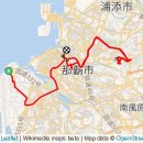 오키나와(Okinawa) 1st Day (슈리성 Shuri Castle, 국제거리 (Kokusai Street) 여행후기 이미지