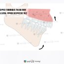 경주본치과의원 이미지