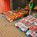 김밥신랑 만두각시 이미지