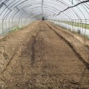 성하농장 이미지