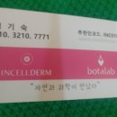 인셀덤 희망 네이버블로그