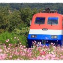 가을모텔 이미지