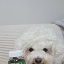 루미메디 이미지