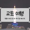 [교토 여행] 벚꽃비 내리는 봄 교토 4박 5일 여행 루트