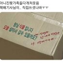 늘푸른노인복지관(26056) | 식물입니다 살 수 있을까요? (마인드풀가드너스 손바닥정원사 활동 후기)