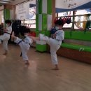 신정태권도장 이미지