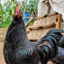 아성슈퍼 이미지