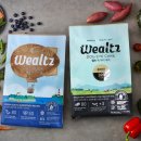 디비에스 주식회사 이미지