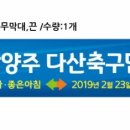 디자인윤디