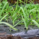 정보농장 이미지