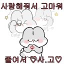 일상수집가 이미지