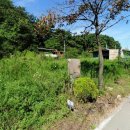 동호해변 이미지