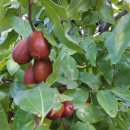 하울농장 이미지