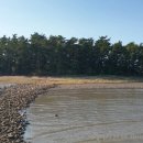 섬마을2 이미지